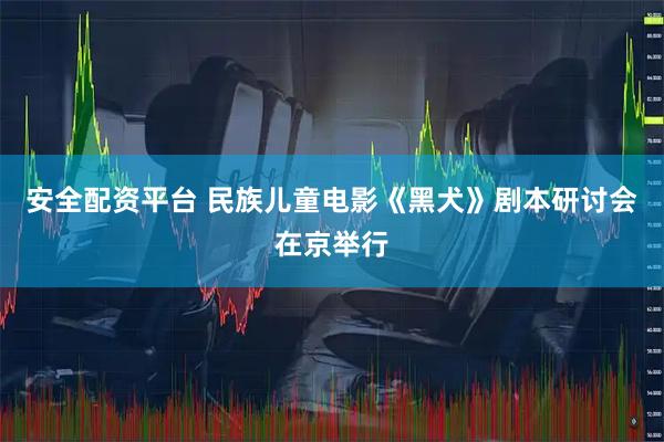 安全配资平台 民族儿童电影《黑犬》剧本研讨会在京举行
